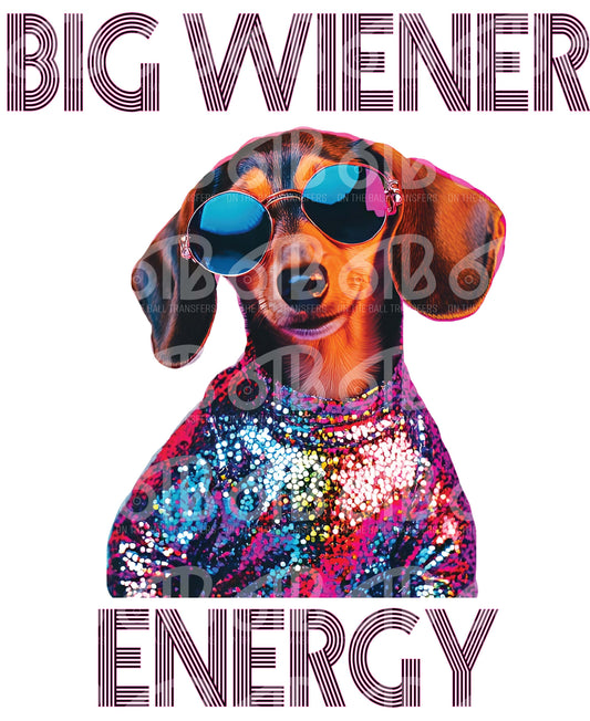 Big Wiener Energy DTF Transfer